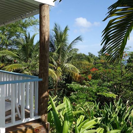 Hotel Mockingbird Hill Port Antonio Exteriér fotografie