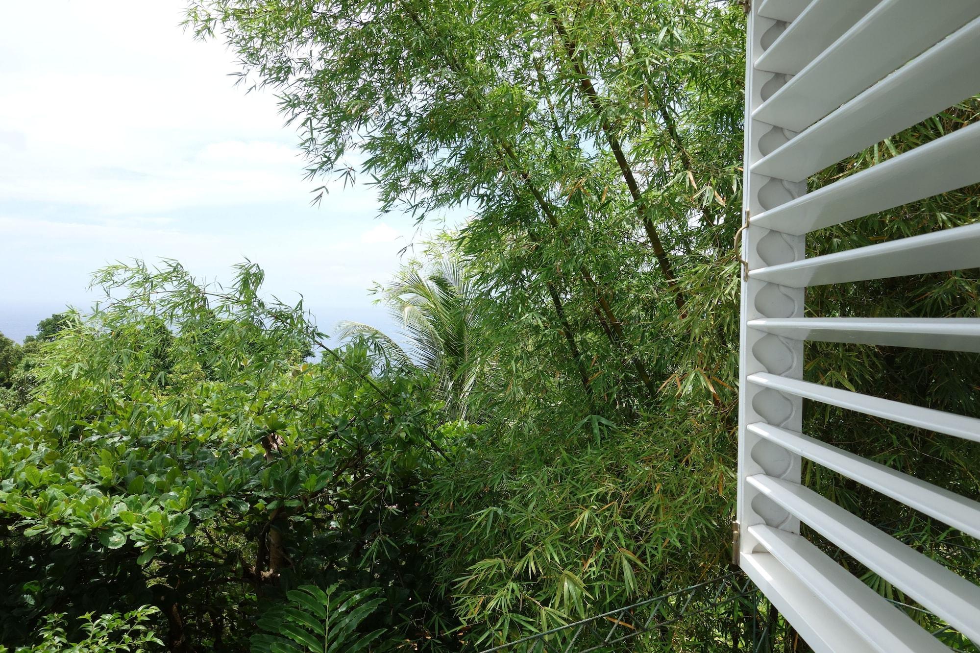 Hotel Mockingbird Hill Port Antonio Exteriér fotografie