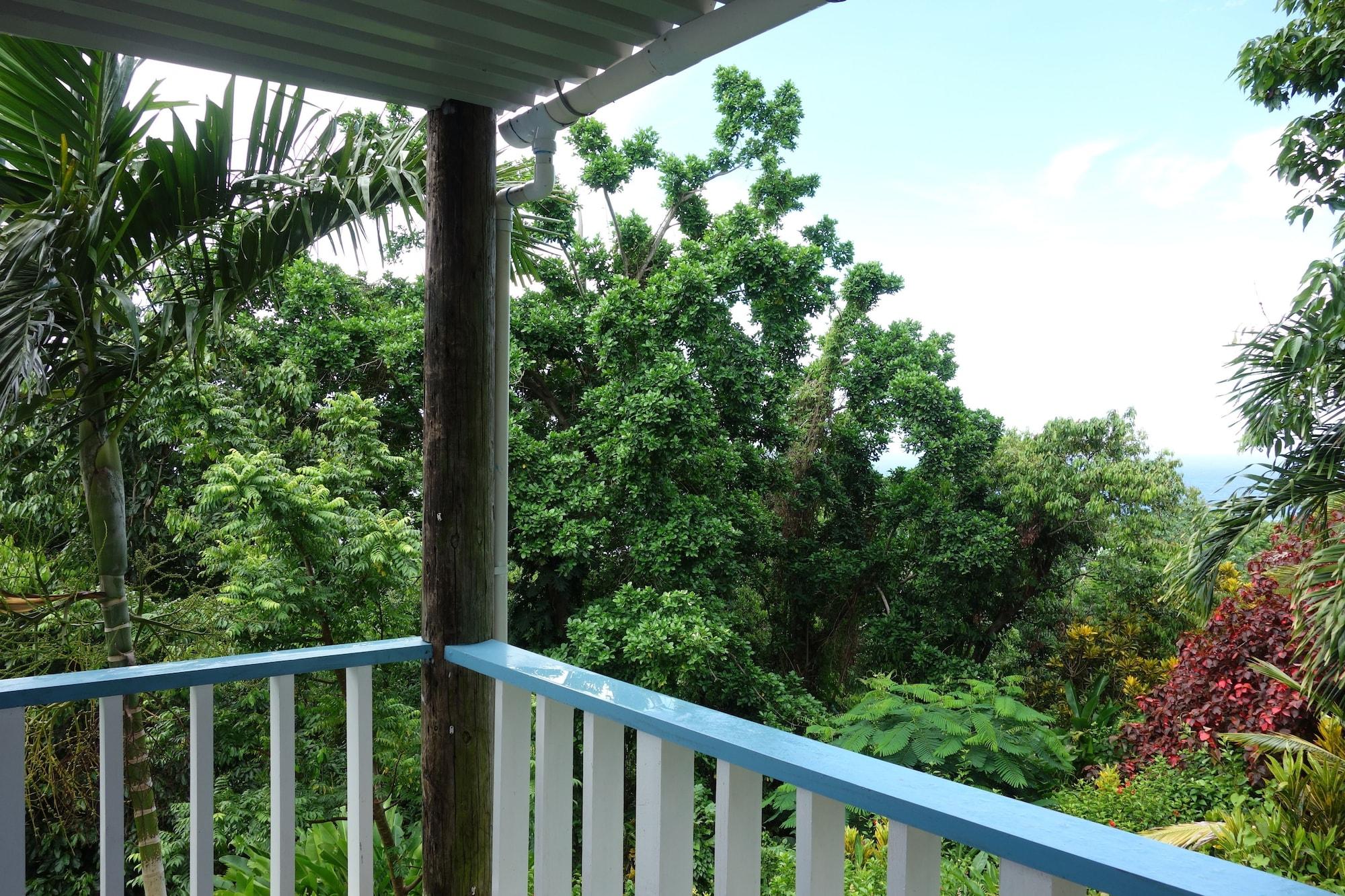 Hotel Mockingbird Hill Port Antonio Exteriér fotografie