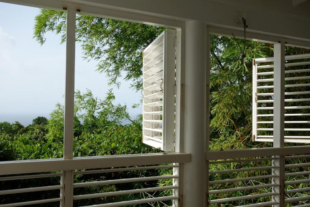 Hotel Mockingbird Hill Port Antonio Pokoj fotografie
