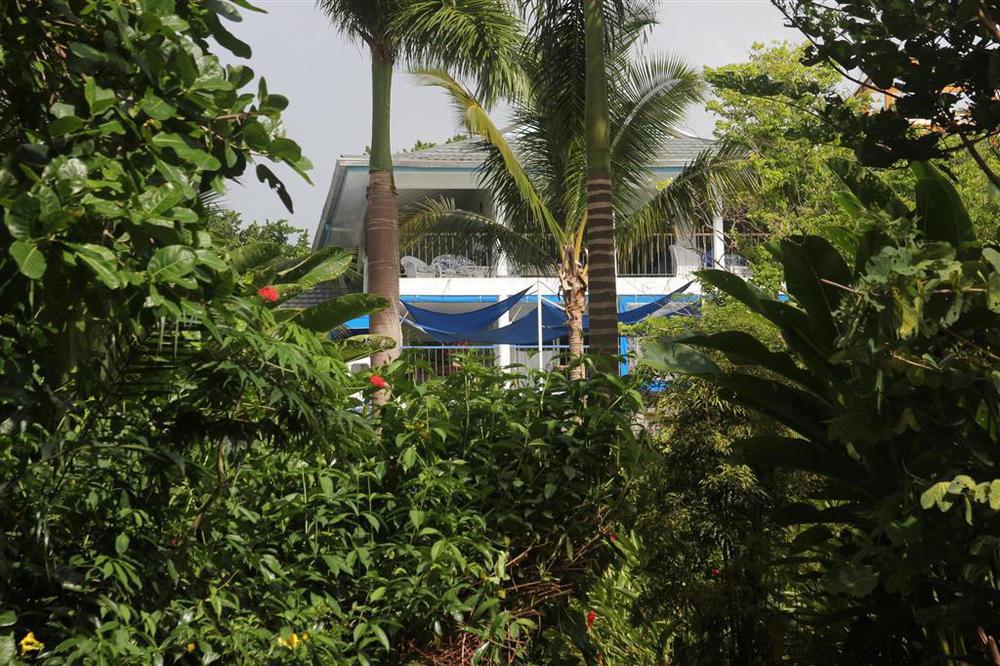 Hotel Mockingbird Hill Port Antonio Exteriér fotografie