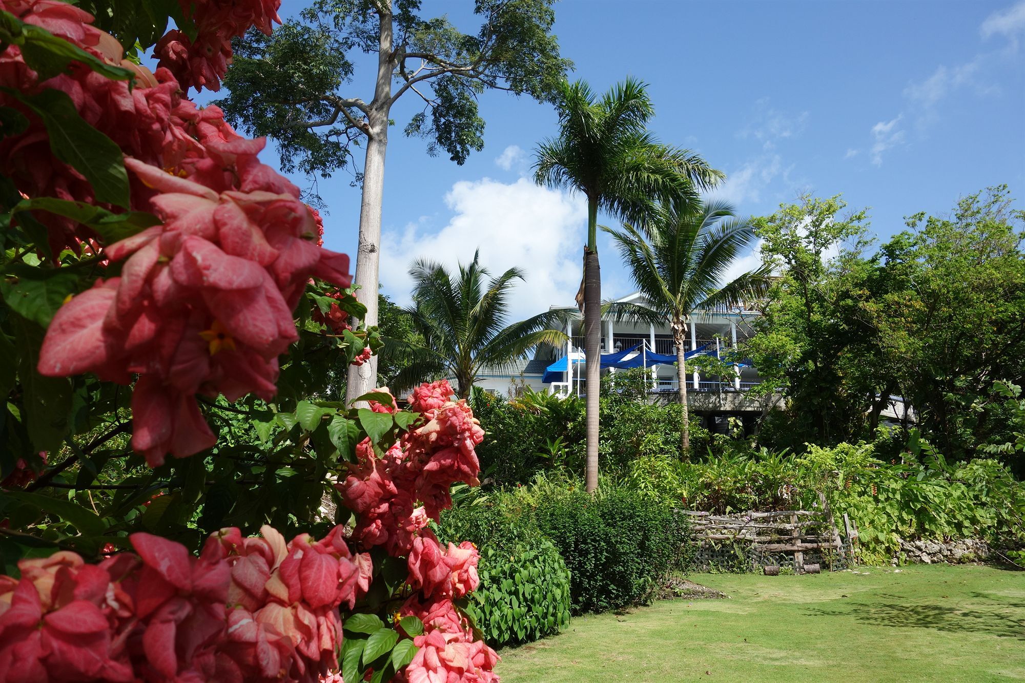 Hotel Mockingbird Hill Port Antonio Exteriér fotografie