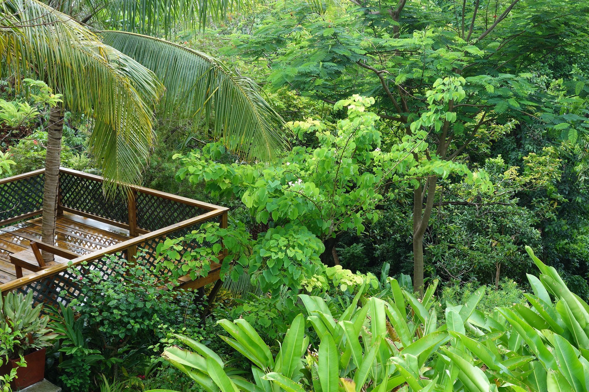 Hotel Mockingbird Hill Port Antonio Exteriér fotografie