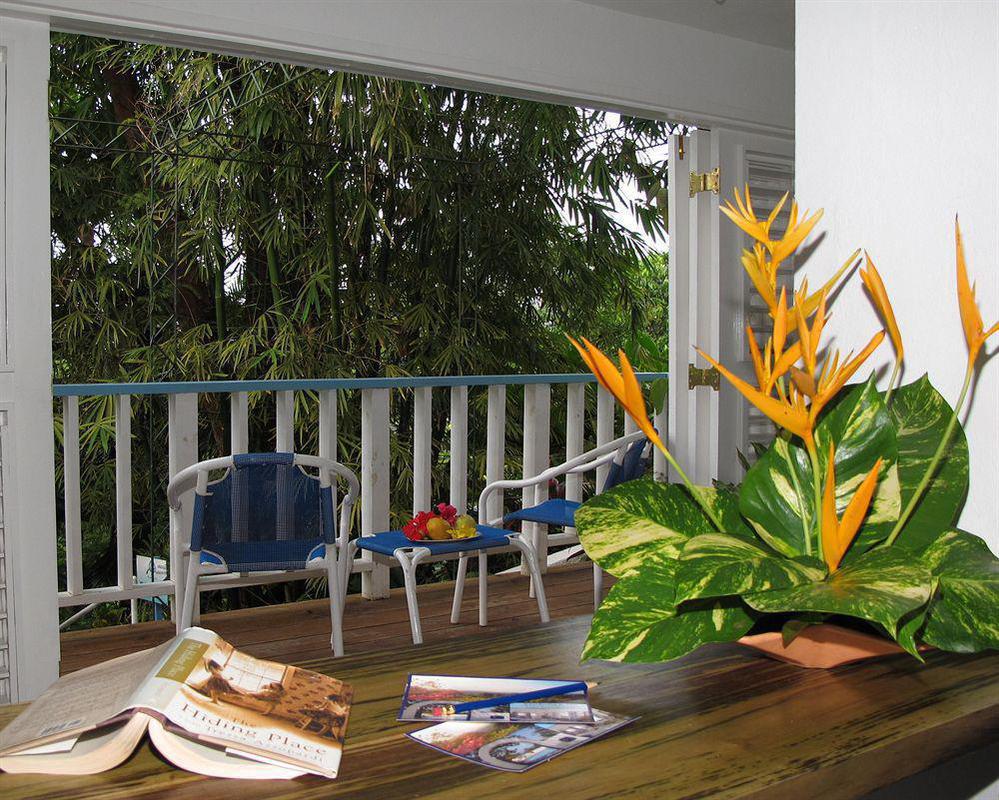 Hotel Mockingbird Hill Port Antonio Exteriér fotografie